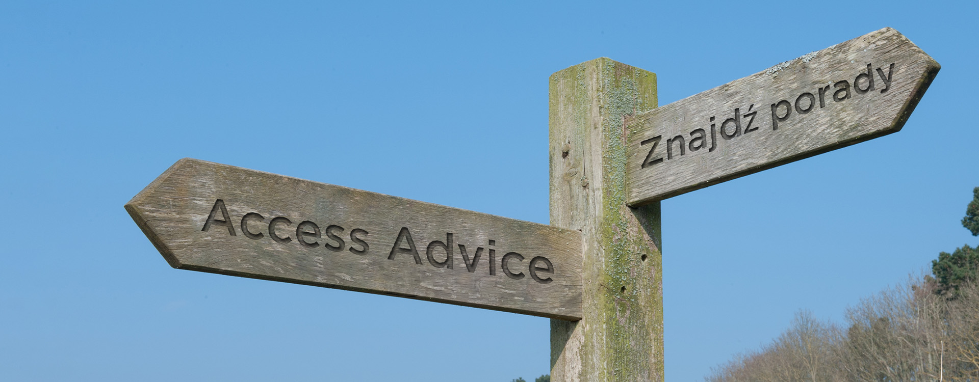 CSA publishes new report on supporting customers with language barriers