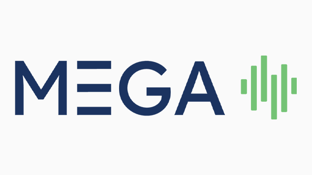 Mega Webinar